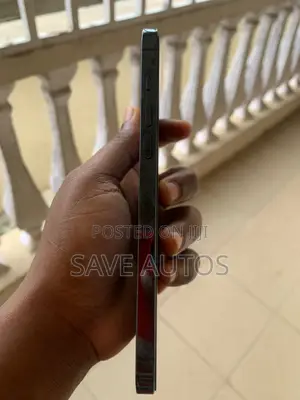 Apple iPhone 12 Pro Max 256 GB Blue