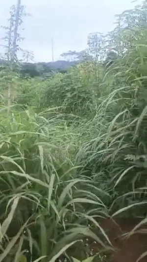 Plots of Land for Sale