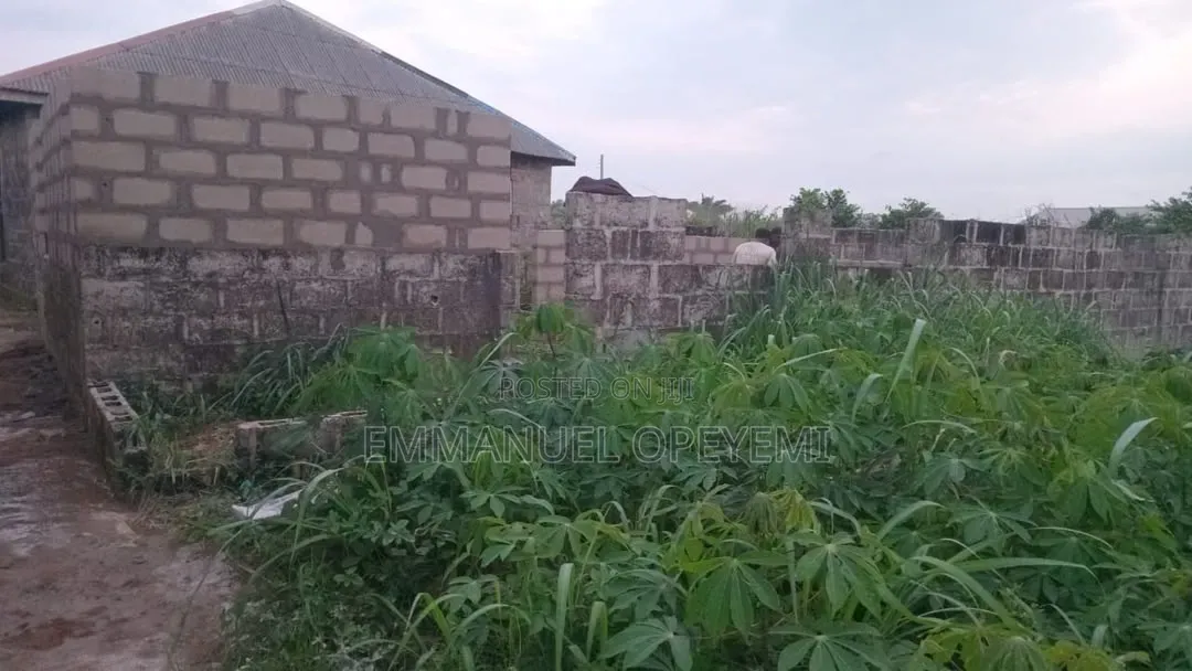 3 Bedroom On A Full Plot