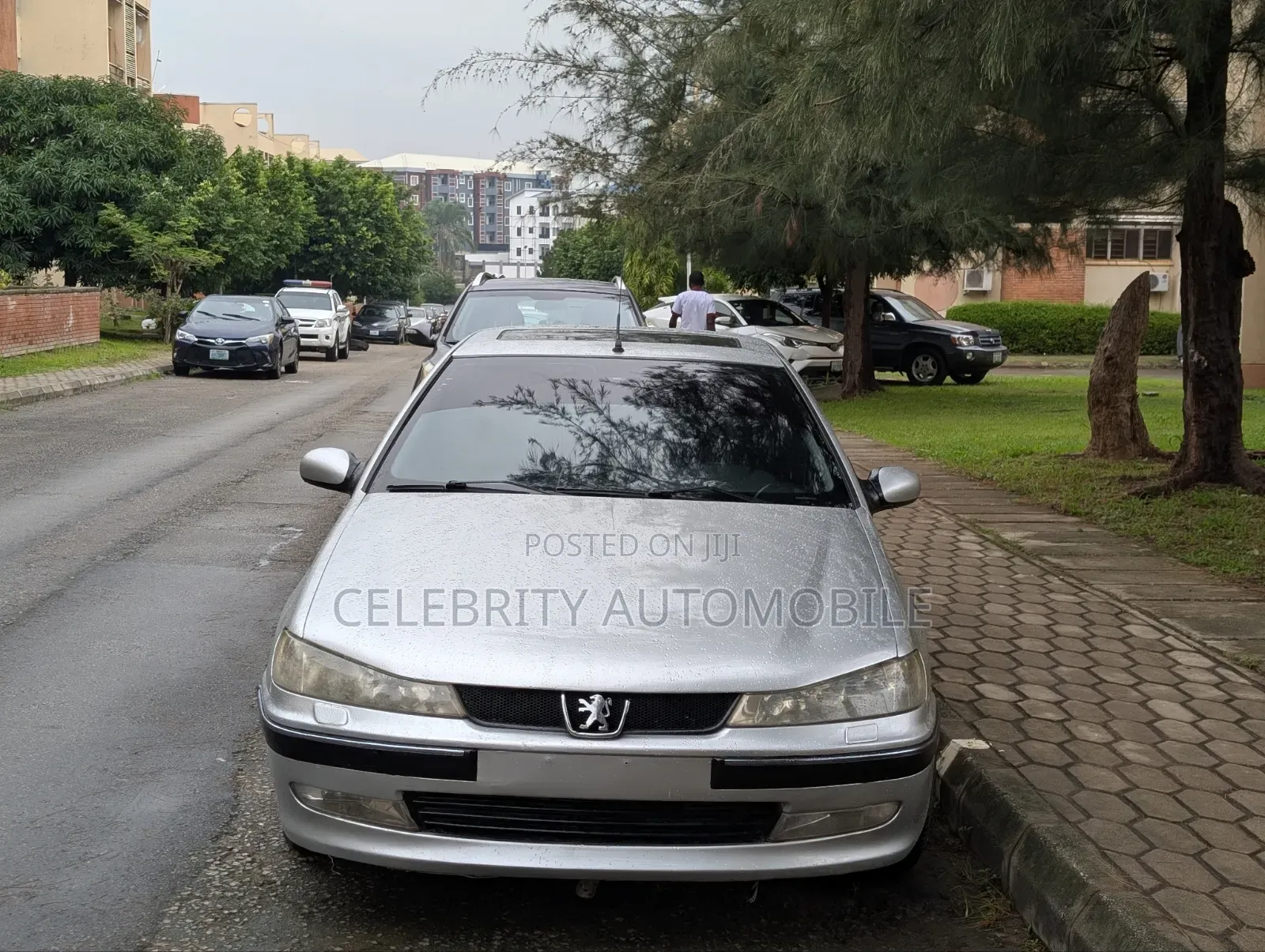 Peugeot 406 2004 Silver