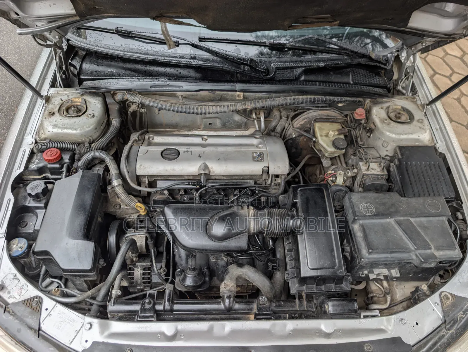 Peugeot 406 2004 Silver