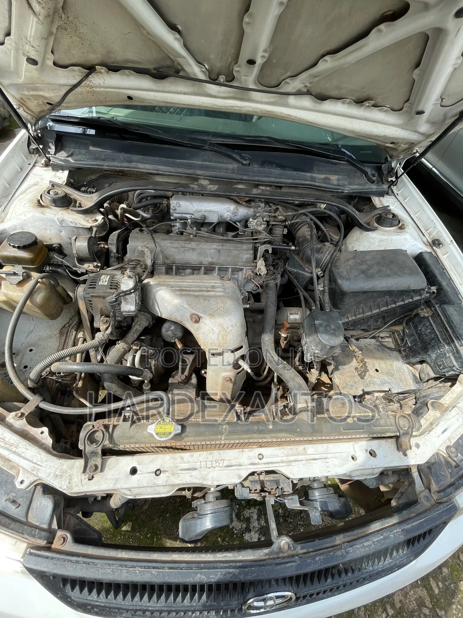 Toyota Solara 2000 White