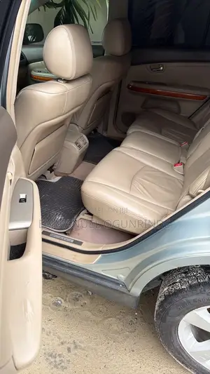 Lexus RX 2005 Gray