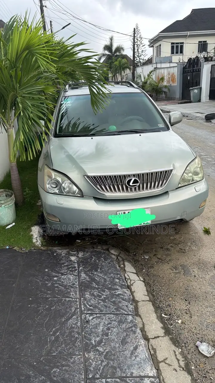 Lexus RX 2005 Gray