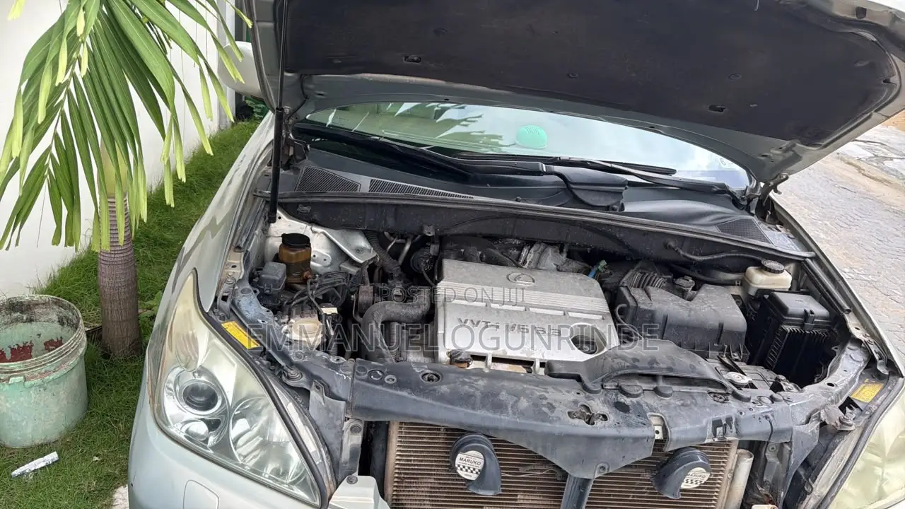 Lexus RX 2005 Gray