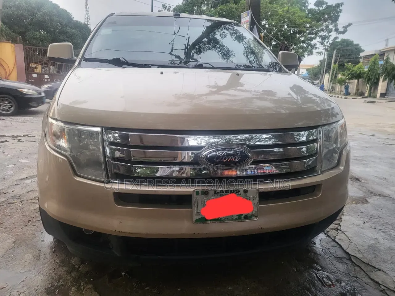 Ford Edge 2008 Brown
