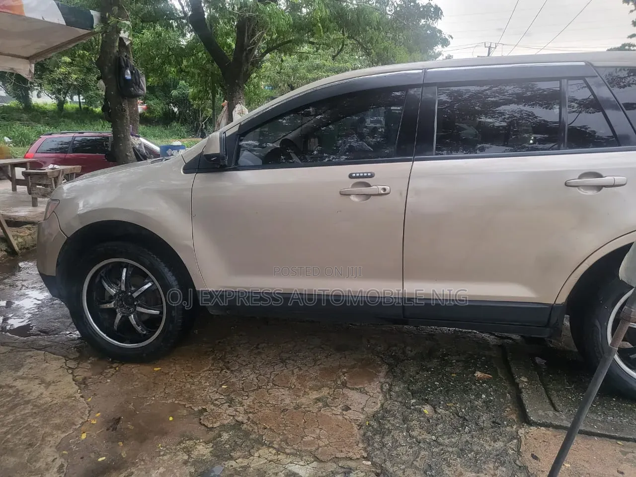 Ford Edge 2008 Brown