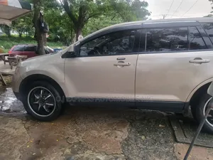 Ford Edge 2008 Brown