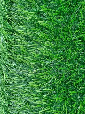 Quality Arttificialgrass Carpet