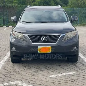 Lexus RX 2011 Gray