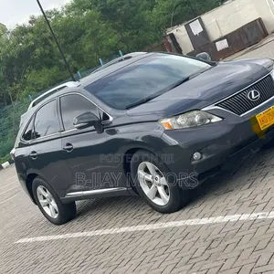 Lexus RX 2011 Gray