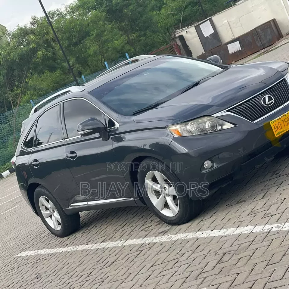 Lexus RX 2011 Gray