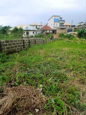 Half Plot of Land in a Very Decent Area at Peace Estate Baruwa Ipaja.