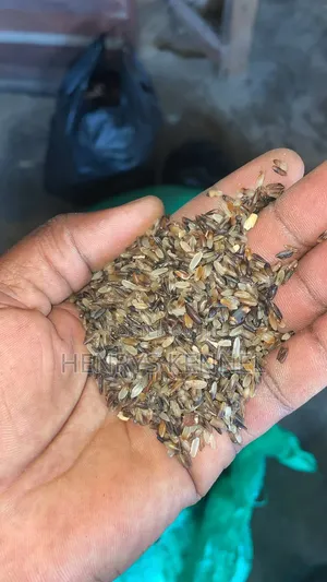Nutritional Brown Rice