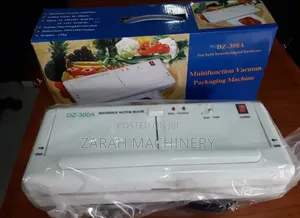 Dz300-a Household Vacuum Sealing Machine