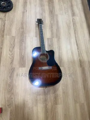 Acoustic Guitar