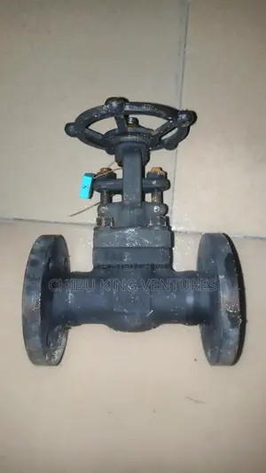 Industrial Forged Steel Gate Valve