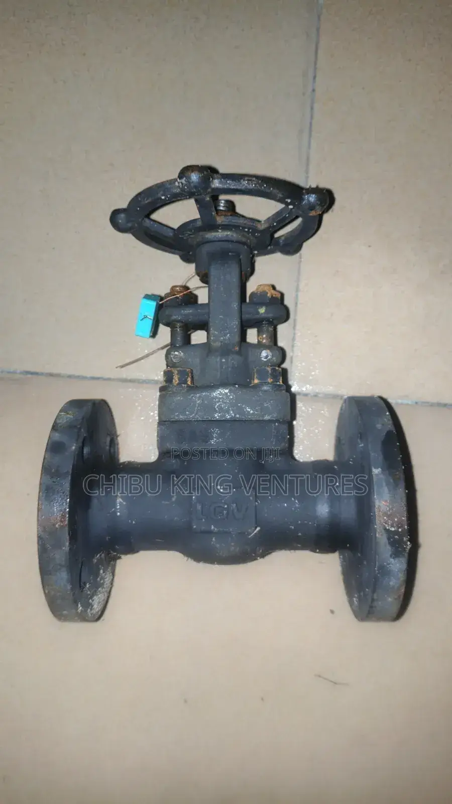 Industrial Forged Steel Gate Valve