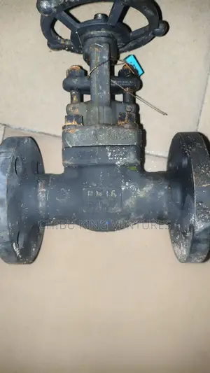 Industrial Forged Steel Gate Valve