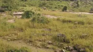 Resiential Land for Sale Dakibiyu