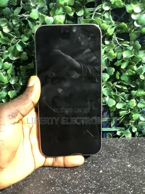 Apple iPhone 15 Pro Max 256 GB Gray