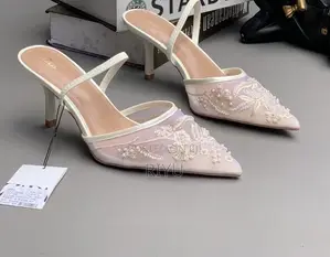 Zara Embroidered Mesh Kitten Heels