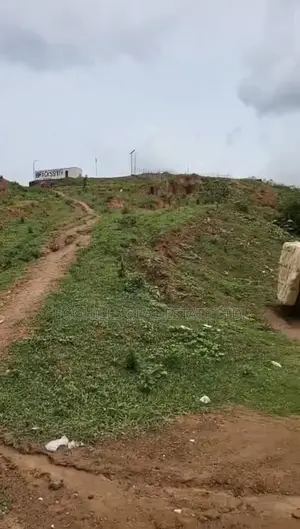 111 Hectares