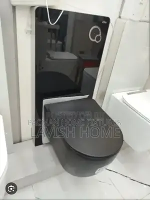 Concealed Wc With Surface Tank