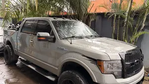Ford F-150 Platinum 2011 Gray