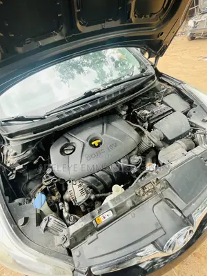 Hyundai Elantra 2017 Black