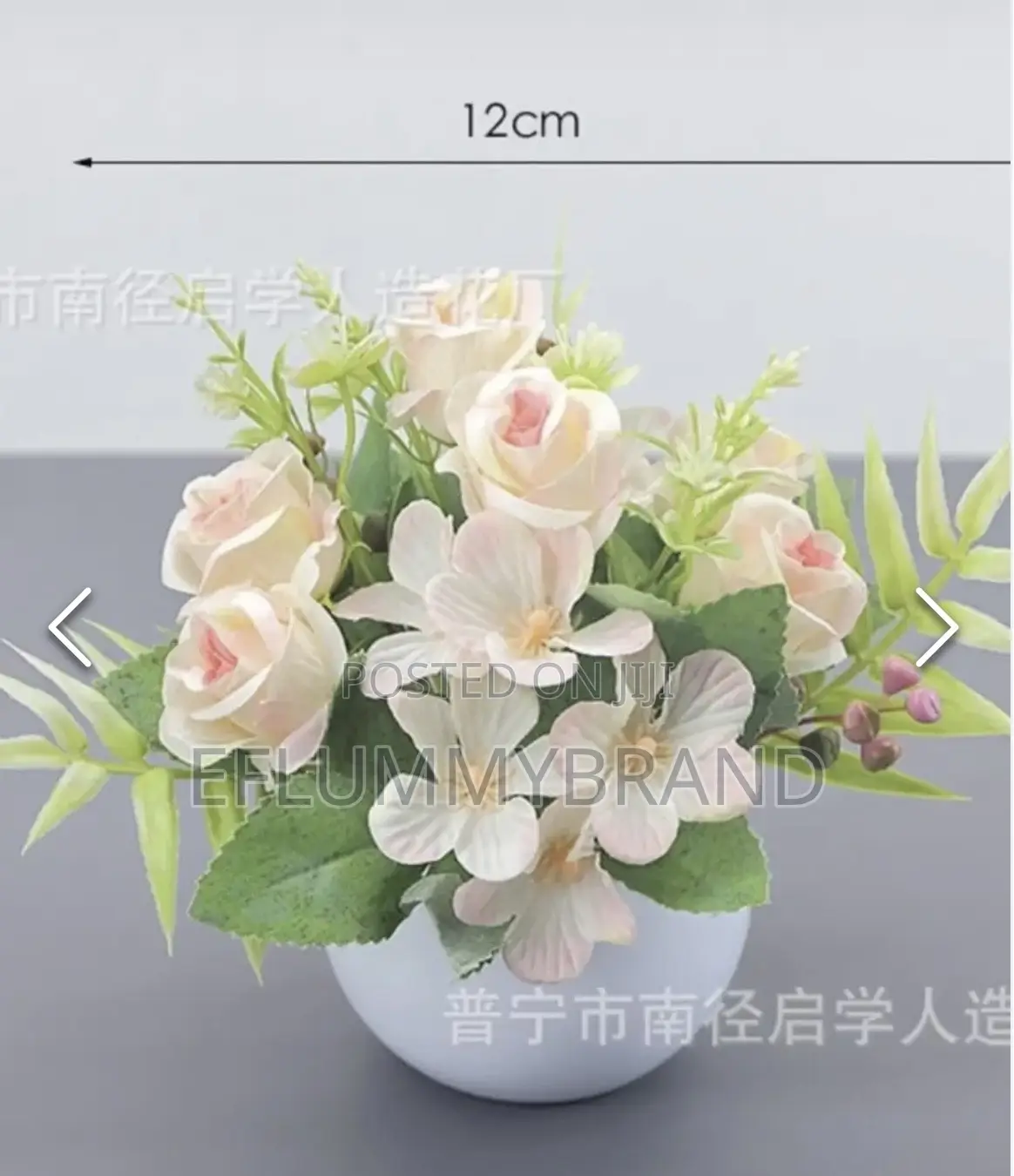 Potted Flower Small Roses
