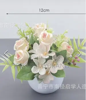 Potted Flower Small Roses