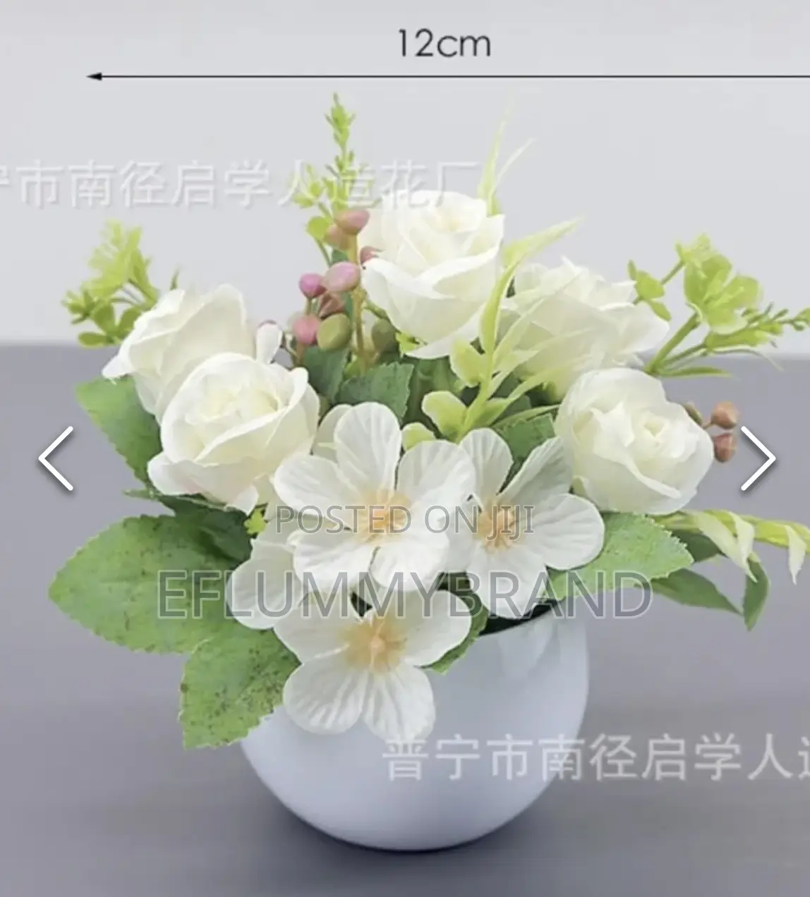 Potted Flower Small Roses