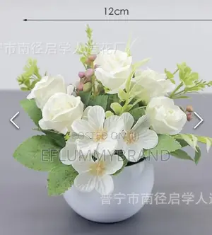 Potted Flower Small Roses