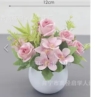 Potted Flower Small Roses