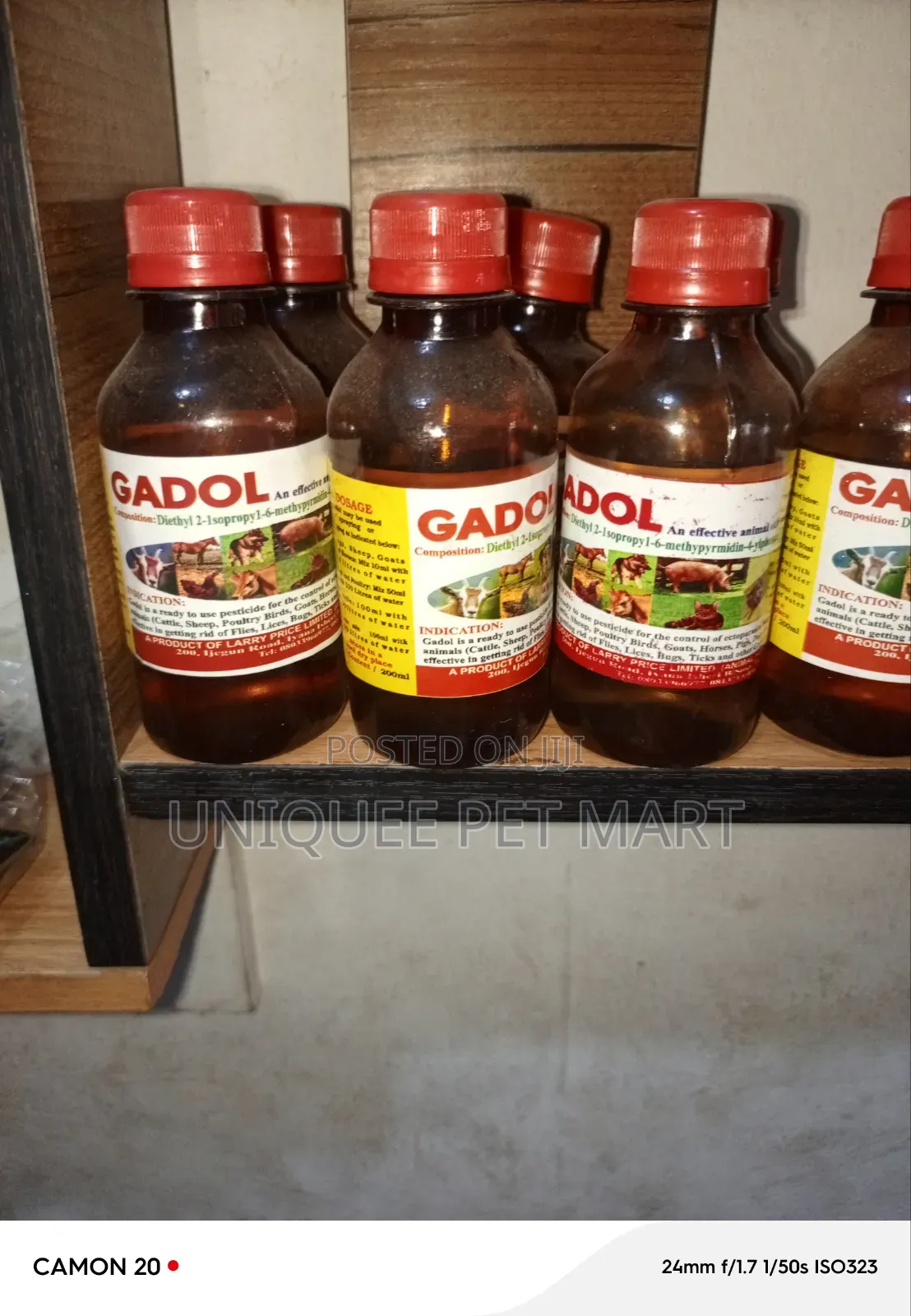 Gadol Gadol