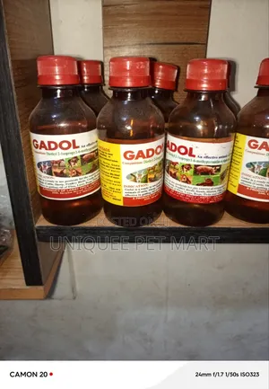 Gadol Gadol