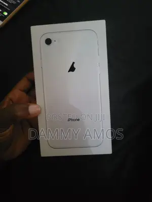 Apple iPhone 8 256 GB Silver