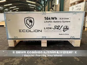 Brand New Ecolion 16kwh-51.2v-314ah Lifepo4 Lithium Battery