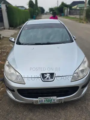 Peugeot 407 2007 Silver