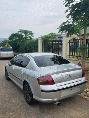 Peugeot 407 2007 Silver