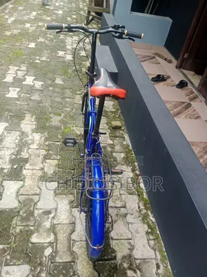 Hoverboard and Bicycle