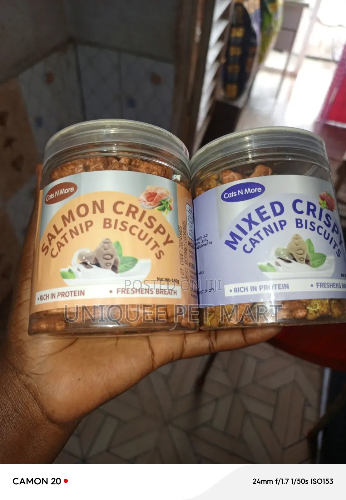 Cat Treat Cat Treat
