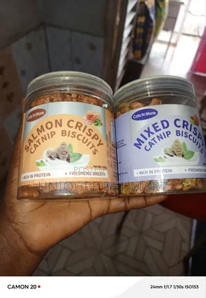 Cat Treat Cat Treat