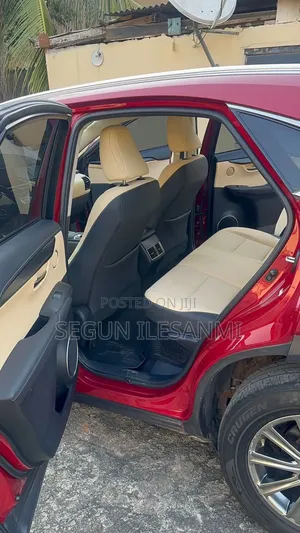 Lexus NX 300 AWD 2020 Maroon
