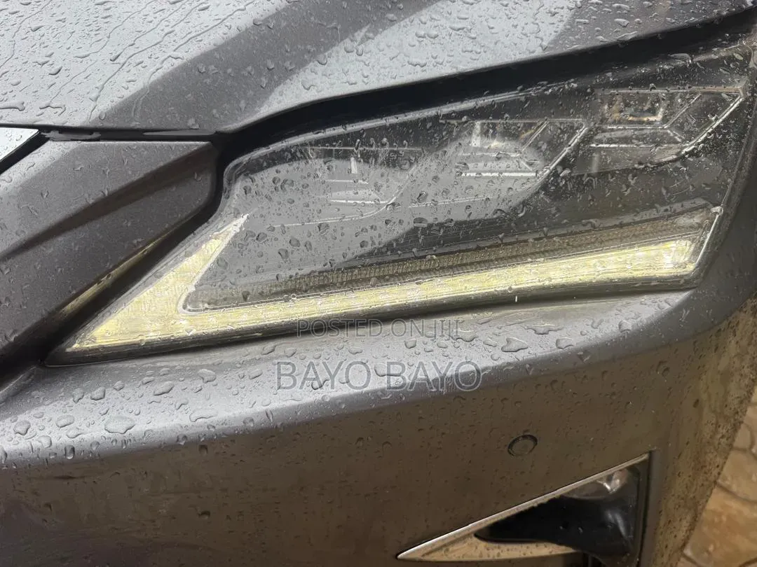 Lexus RX 2017 Gray