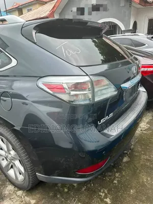 Lexus RX 2013 Gray