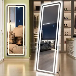 Full Length Standing Mirror