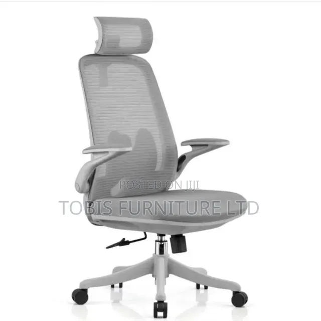 Ergonomic Mesh Office Chair