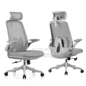 Ergonomic Mesh Office Chair